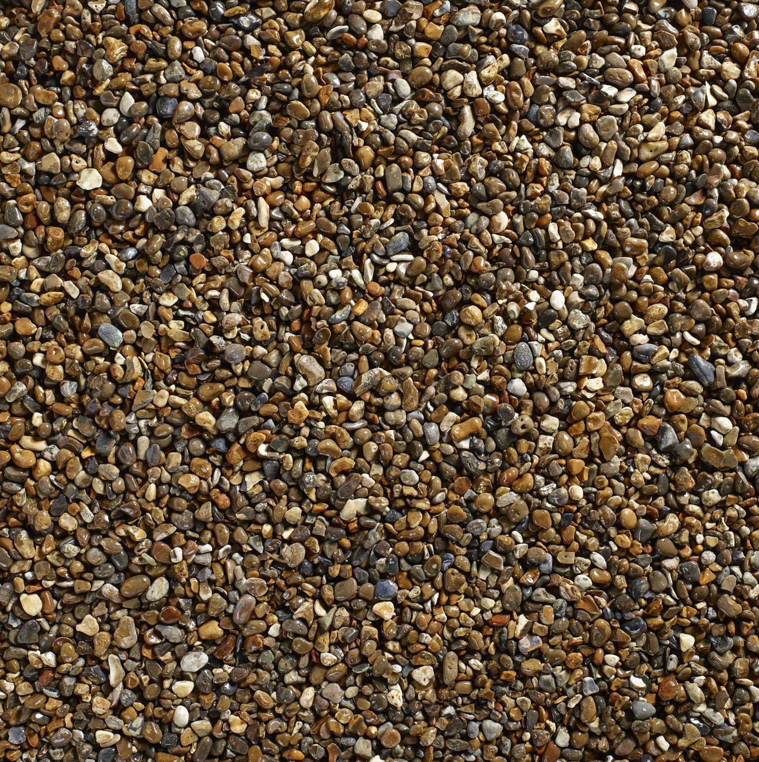 Oyster Pearl Decorative Pebbles Stones Wet